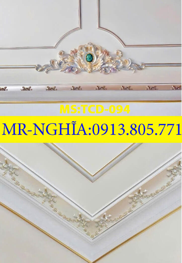 thi cong phao chi tai nhon trach dong nai TCD094